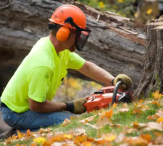 tree services Port Austin